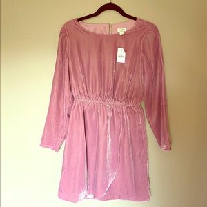 NWT J Crew Pink Velvet Tulip Dress